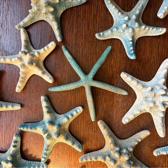 Coastal Starfish Decor 26 pieces of glittery starfish 🐚 🌊 - Picture 3 of 3